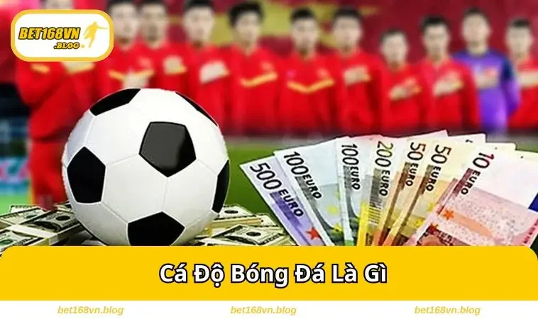ca do bong da la gi