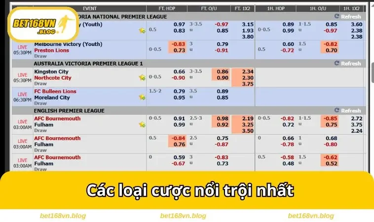 Các loại cược nổi trội nhất
